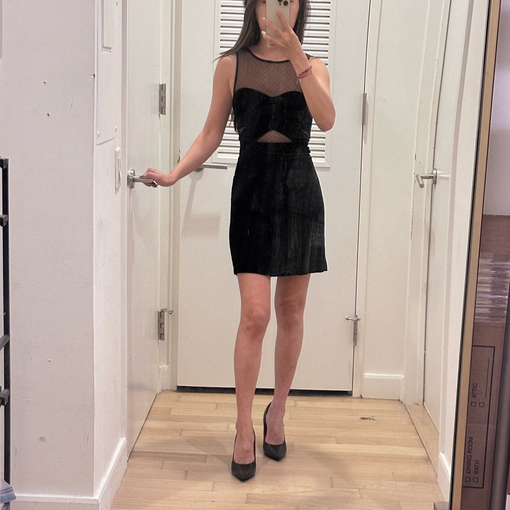Express velvet lace insert black mini dress